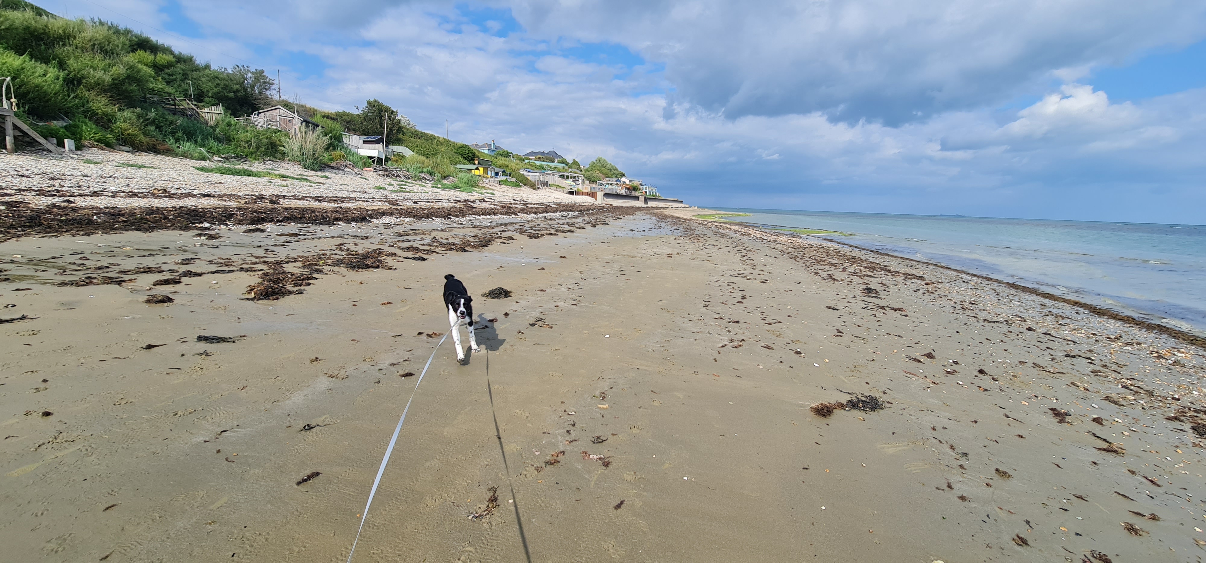 Forelands Pop-Up Campsite