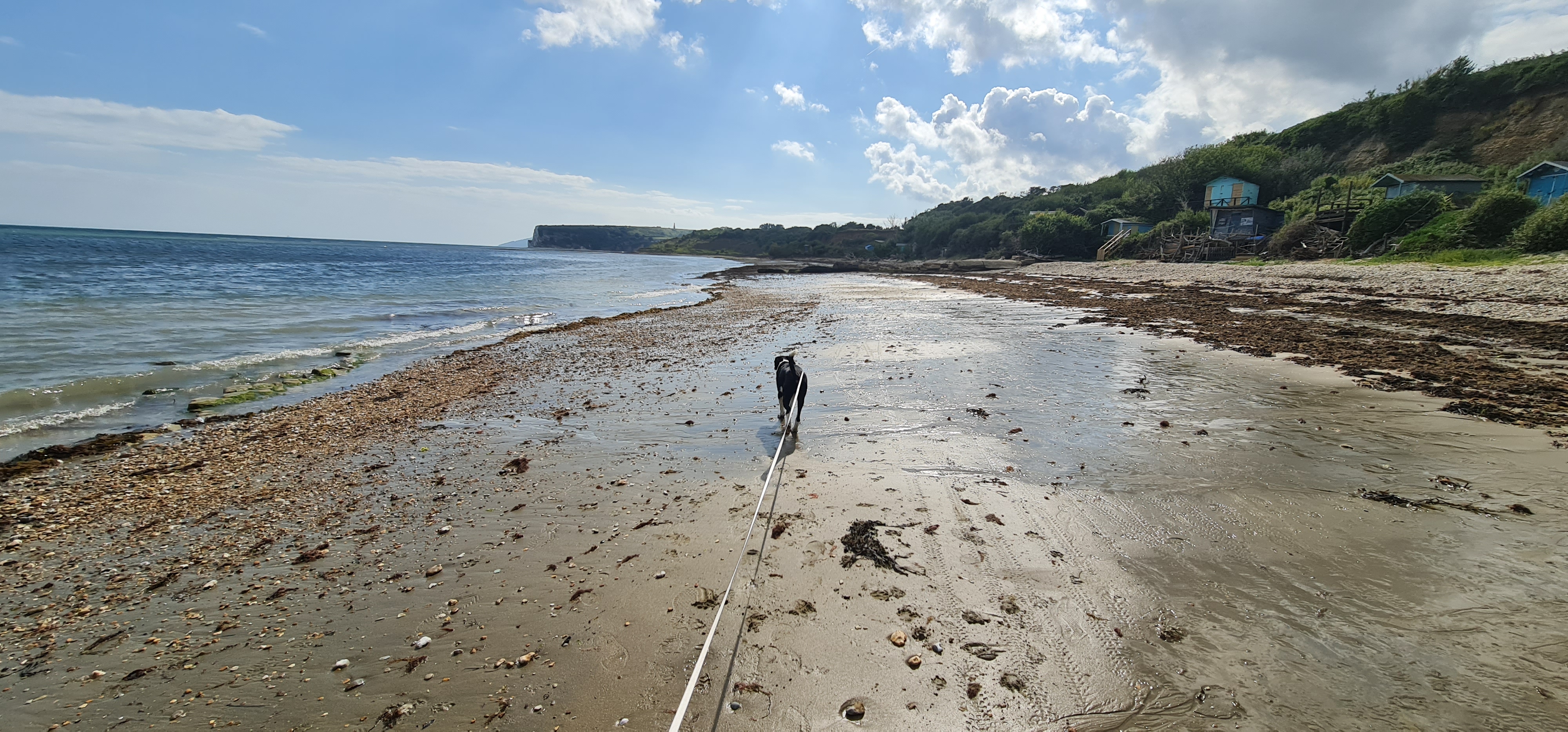 Forelands Pop-Up Campsite
