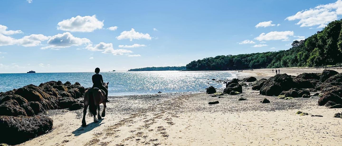 Sallys Riding School